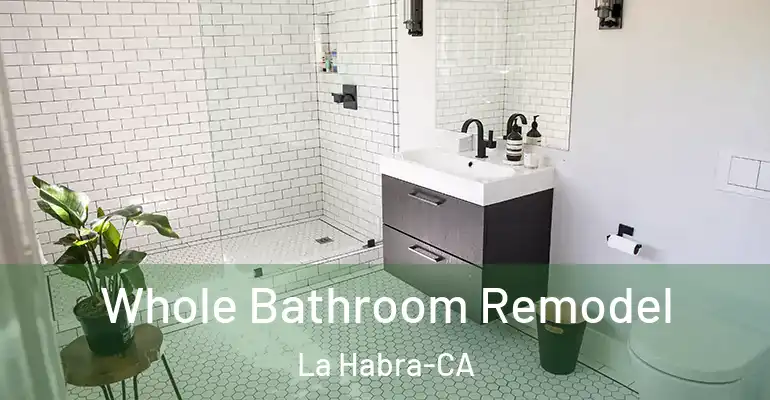 inner Bathroom imggen Whole Bathroom Remodel La Habra-CA