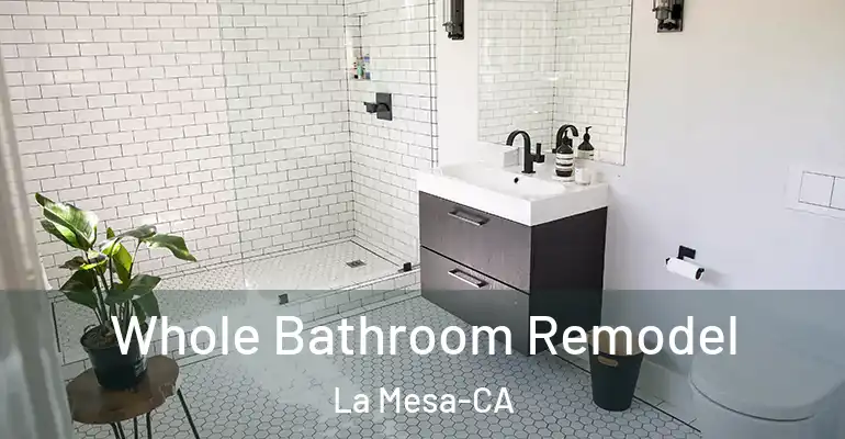 inner Bathroom imggen Whole Bathroom Remodel La Mesa-CA