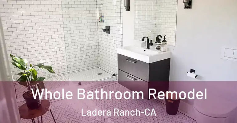 inner Bathroom imggen Whole Bathroom Remodel Ladera Ranch-CA