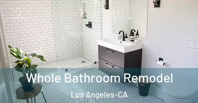 inner Bathroom imggen Whole Bathroom Remodel Los Angeles-CA