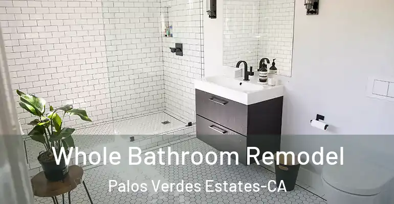 inner Bathroom imggen Whole Bathroom Remodel Palos Verdes Estates-CA