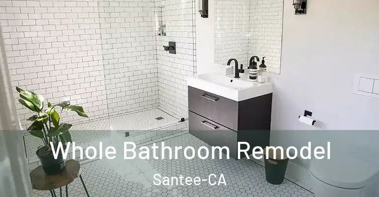 inner Bathroom imggen Whole Bathroom Remodel Santee-CA