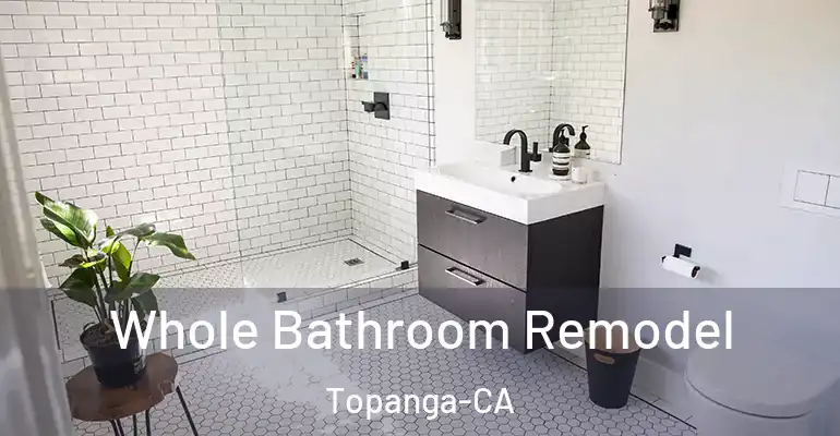 inner Bathroom imggen Whole Bathroom Remodel Topanga-CA